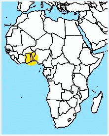 mapa - 