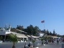 Club Sardunya/Petunya ***