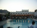 Club Sardunya/Petunya ***