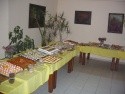 Club Sardunya/Petunya ***