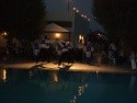 Club Sardunya/Petunya ***