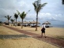 Bali Tropic