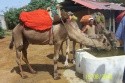 Club Abou Nawas Montazah