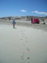 Formentera