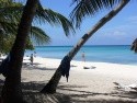 saona island