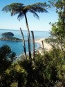 mt manganui