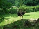 zoo Zlín