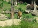 zoo Zlín