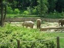 zoo Zlín