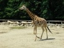 zoo Zlín