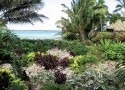 Sea Change Villas ****, ostrov Rarotonga