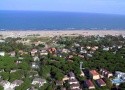 Oasis