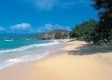 The Rex Grenadian