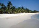 Venezuela - kajmany, kapybary, Karibik (Expedition)