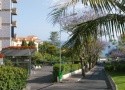 Gorgulho