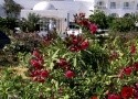 DJERBA PALACE HB