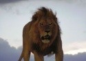 Keňa - Safari a oceán (Komfort)