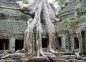 Zlatý okruh - Thajsko - Laos - Kambodža