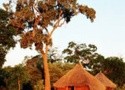 JAR, BOTSWANA, ZIMBABWE, NAMIBIE, LESOTHO