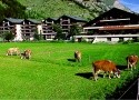 Apart-Hotel Monte Rosa