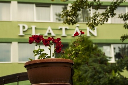 Harkány - Hotel Platán*** 4Dny/3Noci
