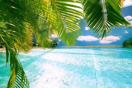 Tropical Islands Resort