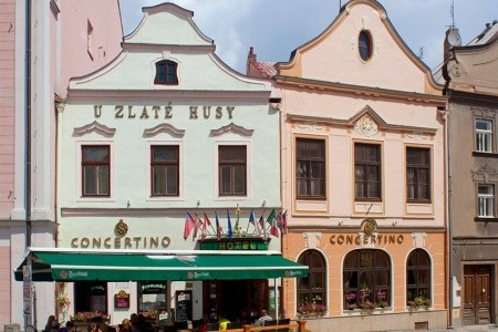 Concertino Zlatá Husa - Jindřichův Hradec, Česká republika, Jižní Čechy