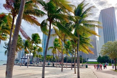 Miami Beach - utečte zimě do tropického ráje Miami Beach - utečte zimě do tropického ráje