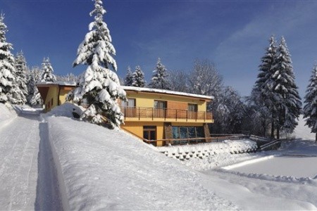 Orava