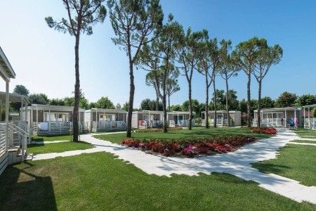 San Francesco H