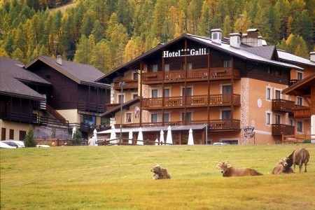 Free Ski Hotel Galli Free Ski Hotel Galli