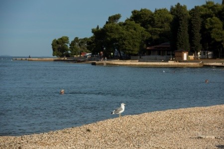 Mobilní Domky Pineta