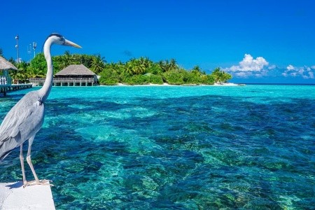 Eriyadu Island Resort Eriyadu Island Resort