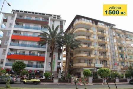 Lonicera City