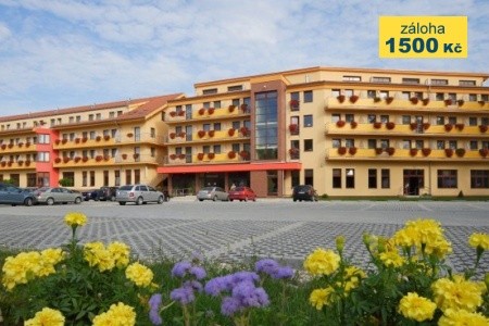 Wellness Hotel Patince
