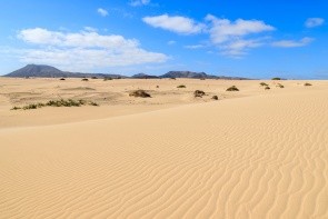 Písečné duny Corralejo
