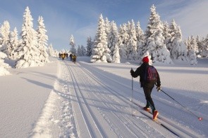 Lyžování na běžkách v údolí Alpbachtal