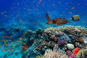 Marsa Alam