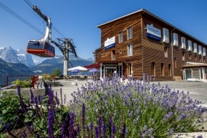 Das Hotel Panorama