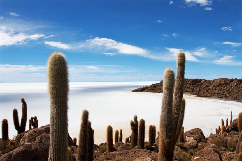 Solná pláň Salar de Uyuni, Bolívie