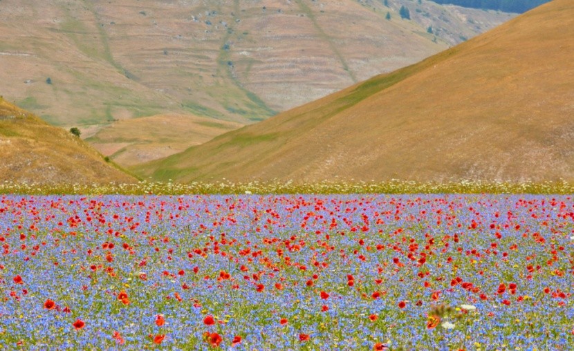 Castelluccio, Umbrie